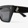 Lou Black and Grey Acetate Cat-Eye Sunglasses