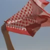 Sula Bandana Ruby Red Mix Gingham Print Cotton Bandana