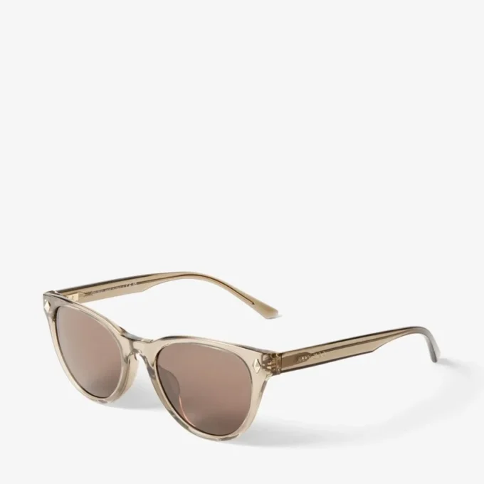 Trace Brown Transparent Pantos Sunglasses